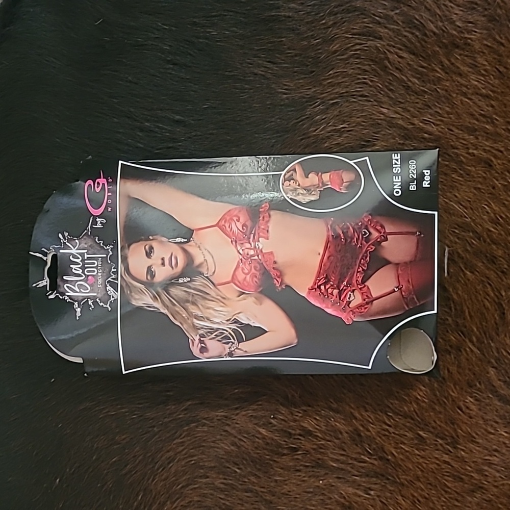 Red Laced Garter set Lingerie NIB